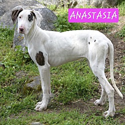 Photo of Anastasia