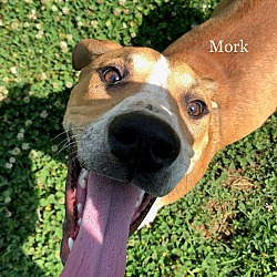 Thumbnail photo of Mork #4