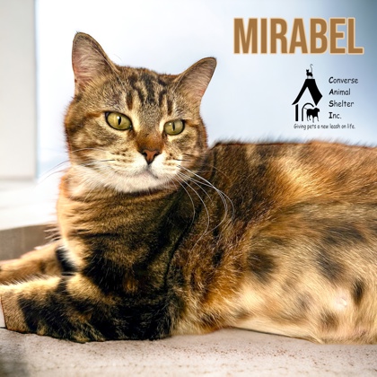 Photo of Mirabel