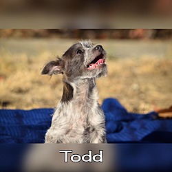 Thumbnail photo of Todd #2