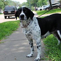Photo of Sweety