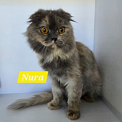 Photo of Nura