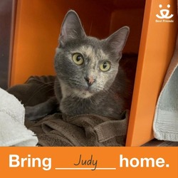 Thumbnail photo of Judy #4