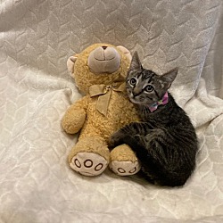 Photo of Artie