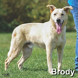 Thumbnail photo of Brody #1