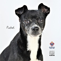 Thumbnail photo of Pocket #1