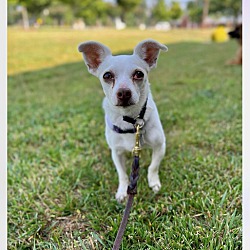 Photo of PENNY