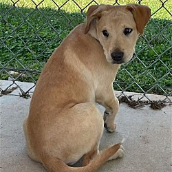 Photo of Creamer - Not At shelter