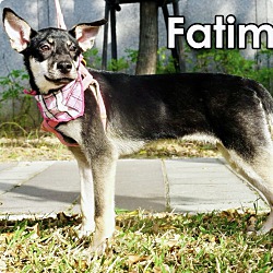 Thumbnail photo of Fatima #4