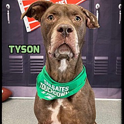 Photo of Tyson
