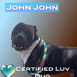 Thumbnail photo of John John #1