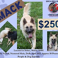 Thumbnail photo of MACK - $250 #1