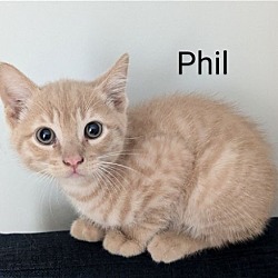 Photo of Phil
