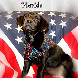Thumbnail photo of Merida ~ meet me! #3