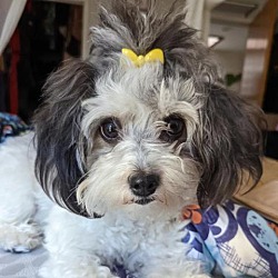 Photo of Carly
