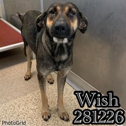 Photo of WISH
