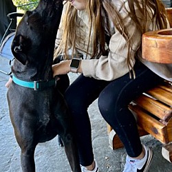 Thumbnail photo of Shelby - meet me! #2