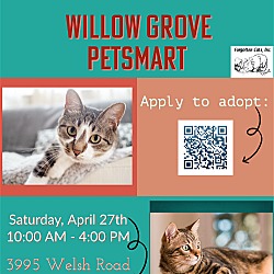 Photo of Willow Grove PetSmart Adoption Event 4/27