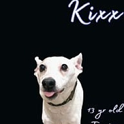 Photo of Kixx