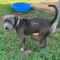Photo of Clive