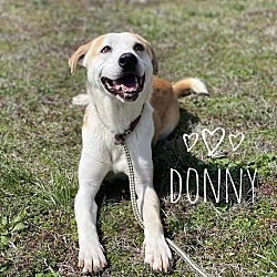 Thumbnail photo of Donny #1