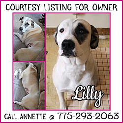 Thumbnail photo of Lilly-COURTESY LISTING #1