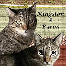 Thumbnail photo of KINGSTON & BYRON #1