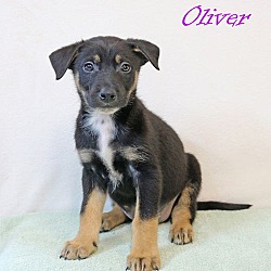 Thumbnail photo of Oliver Crystal #3