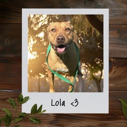 Thumbnail photo of Lola #1