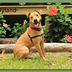 Thumbnail photo of Wyland #2