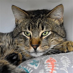 Photo of Bobby