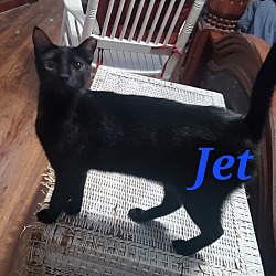 Photo of Jet