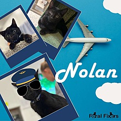 Thumbnail photo of Nolan #2