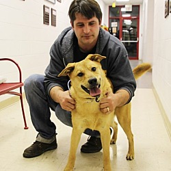 Thumbnail photo of Turner-Prison Dog #2