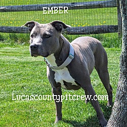 Thumbnail photo of Ember #1