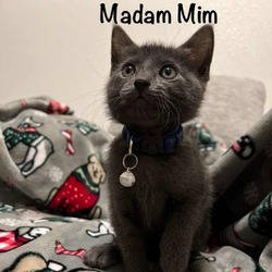 Photo of Madam Mim