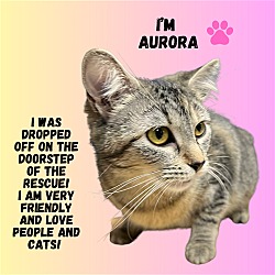 Photo of CAT-AURORA