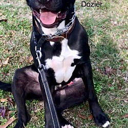 Thumbnail photo of Dozier #2