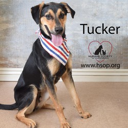 Thumbnail photo of Tucker #4