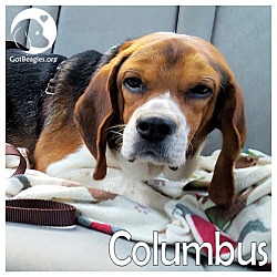 Thumbnail photo of Columbus #1