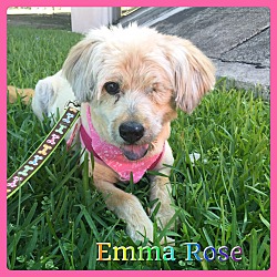 Thumbnail photo of Emma Rose #1