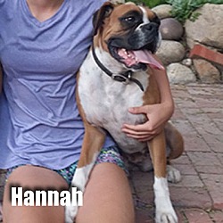 Thumbnail photo of Hannah #2