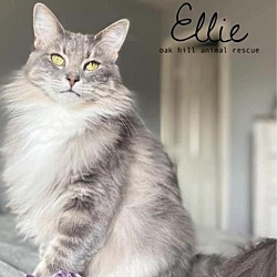 Photo of Ellie