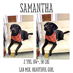 Thumbnail photo of Samantha #1