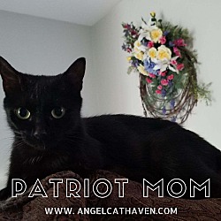Photo of Patriot Mom