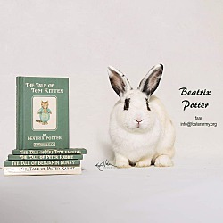 Thumbnail photo of Beatrix Potter #1