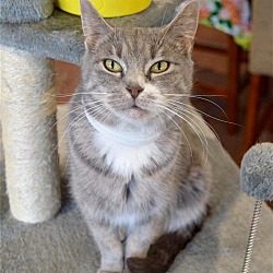 Photo of Willow