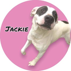 Photo of Jackie