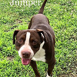 Thumbnail photo of Jumper #3