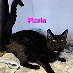 Photo of Fizzie